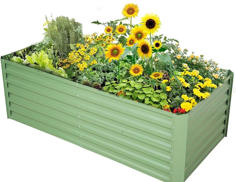 Build a raised garden bed with our step-by-step guide! Discover the best bed materials, soil options, and tips for thriving gardening in raised beds.