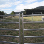 View of a horse round yard with galvanised panels set up in a rural setting.