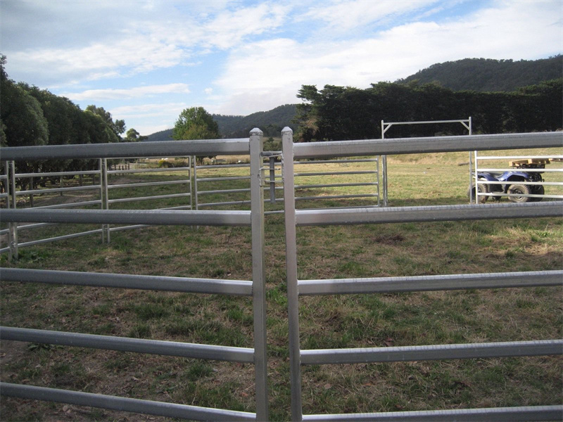 View of a horse round yard with galvanised panels set up in a rural setting.