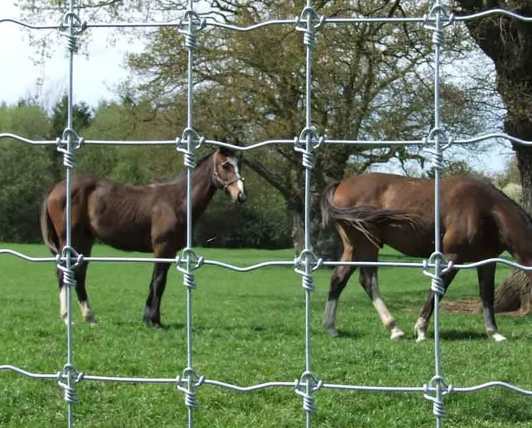 Shop our High Tensile 12.5 Gauge Fixed Knot Fence, 8' x 330'. This durable deer fence features galvanized steel wire for maximum strength and deer exclusion.