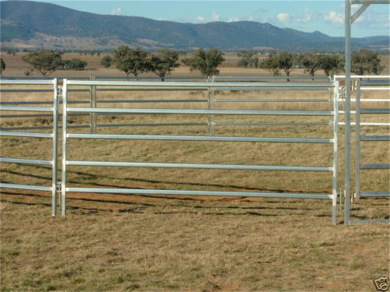 horse fence panels