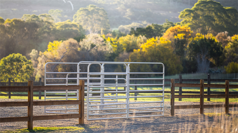 Investment in custom horse panels yielding long-term benefits.