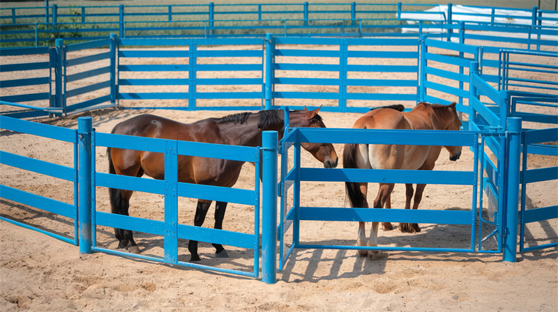 round pen panels for sale