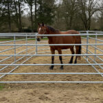 horse corral panels for sale