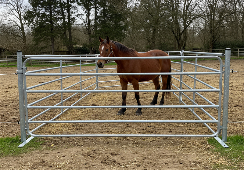 horse corral panels for sale