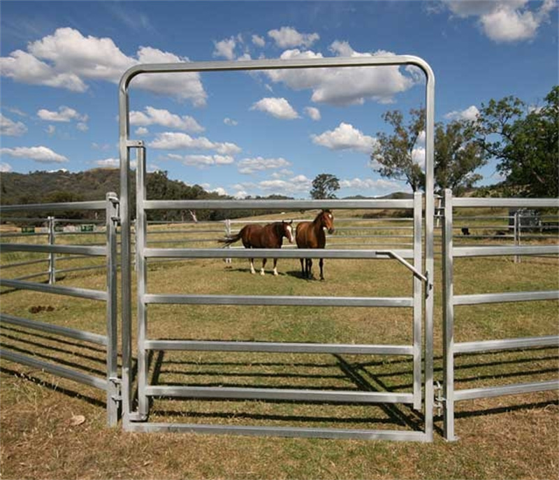 Two horses inside a galvanized horse yard with a gate, surrounded by a spacious grassy area under a blue sky with scattered clouds.