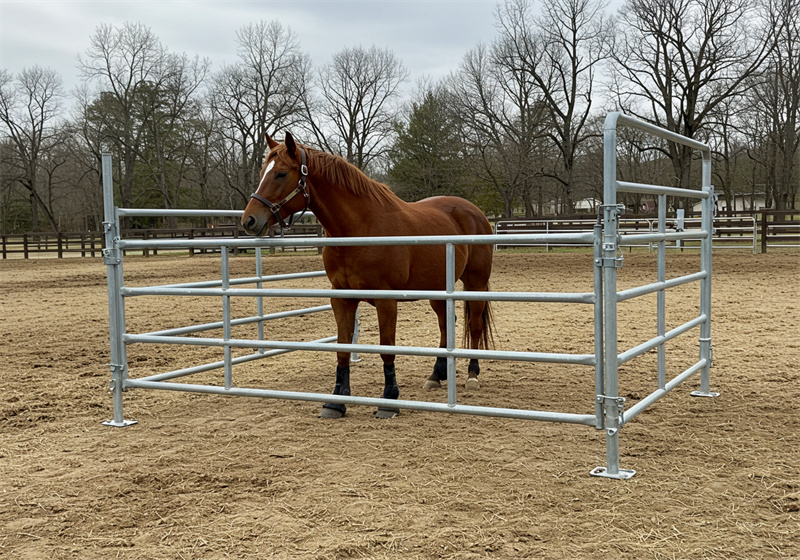 horse trailer panels