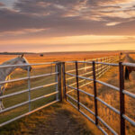 Two horses by a horse yard at sunset, showcasing a serene farm environment.