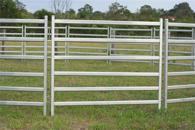 Installed galvanized horse fencing panels in a grassy area, demonstrating the safety and security features of round yard panels.