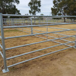 Galvanized horse corral setup with multiple panels arranged for safe containment of livestock.