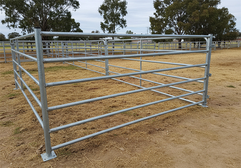 Galvanized horse corral setup with multiple panels arranged for safe containment of livestock.