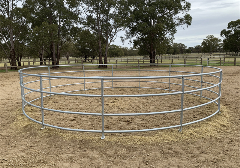 portable horse round pen