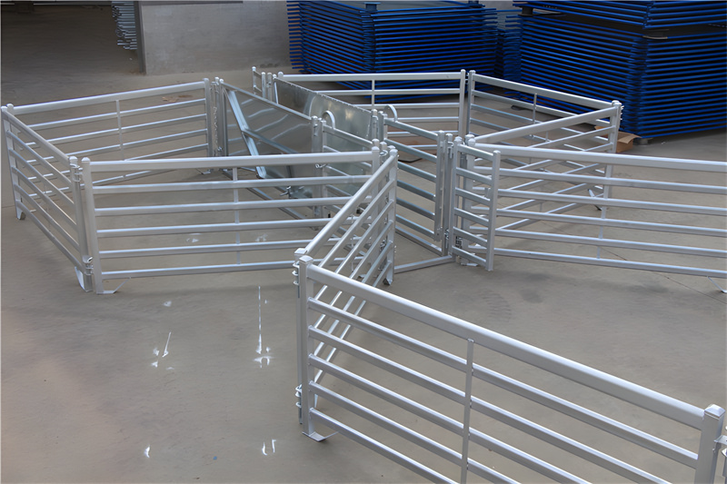 Various portable sheep yard panels arranged in an efficient layout for easy handling and sorting of livestock, demonstrating versatility and utility.