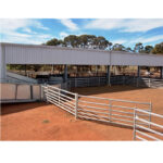 A well-structured sheep handling facility featuring robust galvanize panels for durability.