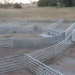 An expansive sheep handling area with galvanized panels, showcasing a safe environment for livestock.