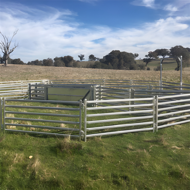 lamb creep panel