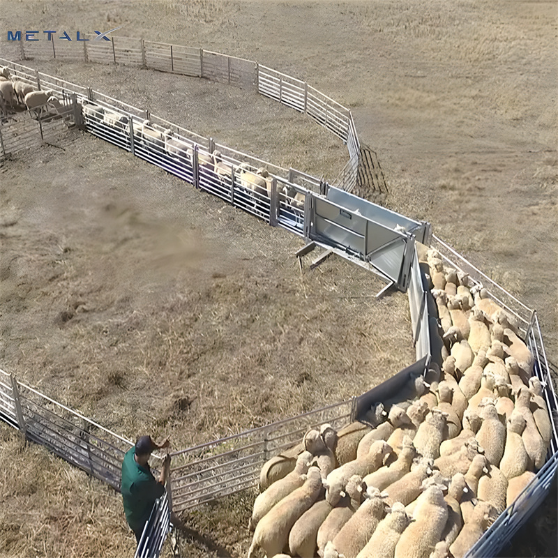 portable sheep yard panels