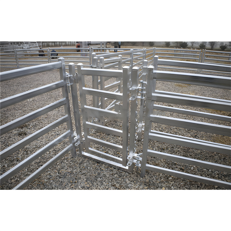 sheep livestock panels