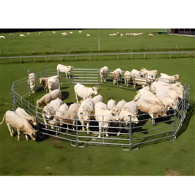 sheep yard panels price