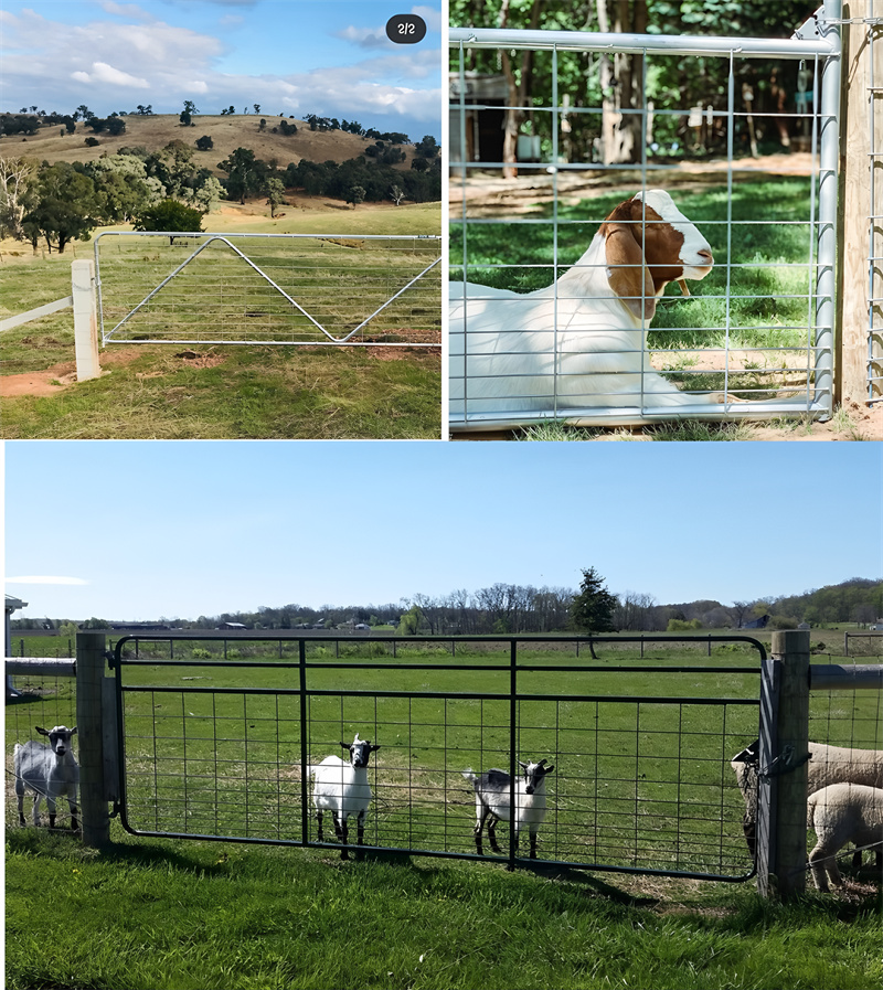 A montage of various farm gates installed in agricultural settings, with a focus on livestock such as goats, illustrating the functional application of the gates in managing animals.