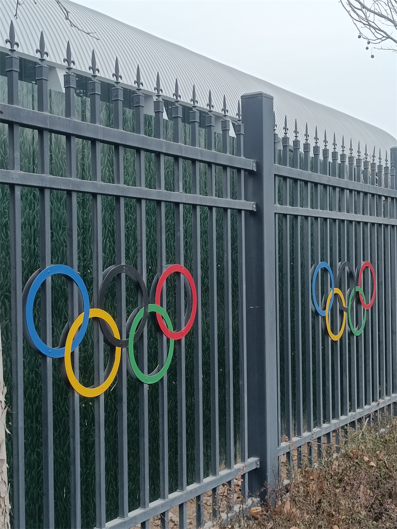 A decorative metal fence featuring the Olympic rings in vibrant colors attached to it. The fence is part of a facility with a green background, enhancing its visual appeal.