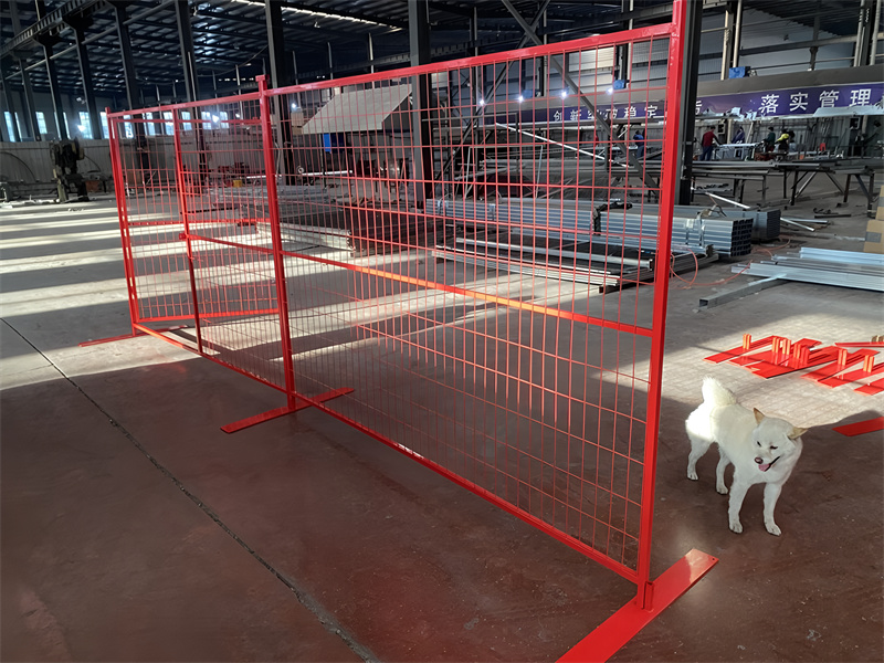 A red construction fence set up indoors, with bright lighting illuminating the space. A small white dog is visible in the foreground, and various construction materials are scattered around.