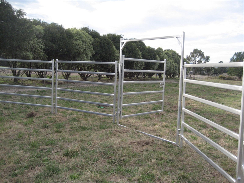 Galvanized steel livestock fence panels set up in a green pasture, featuring an open gate and modular connections.