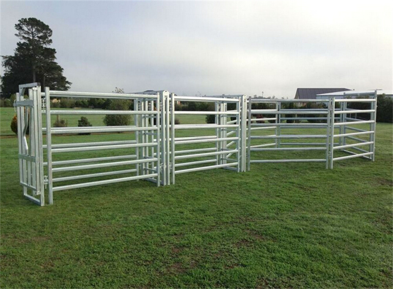 our cattle fence (1)