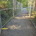 A series of temporary fence panels, light gray in color, line both sides of a gravel pathway, creating a defined walkway through a wooded area with dense green foliage.