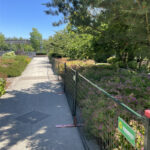 Dark green temporary fencing with red flat feet, marked with a "Sunbelt Rentals" sign, installed along a paved park pathway next to green bushes and trees under a clear blue sky.