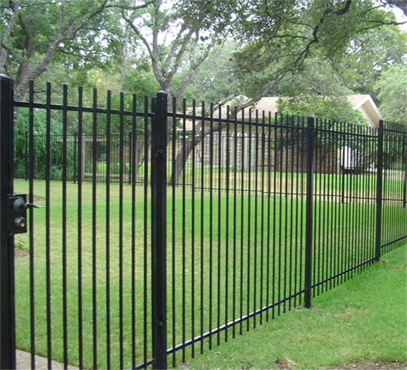 A residential backyard with a green lawn is enclosed by a classic black steel picket fence, with a house visible in the background.