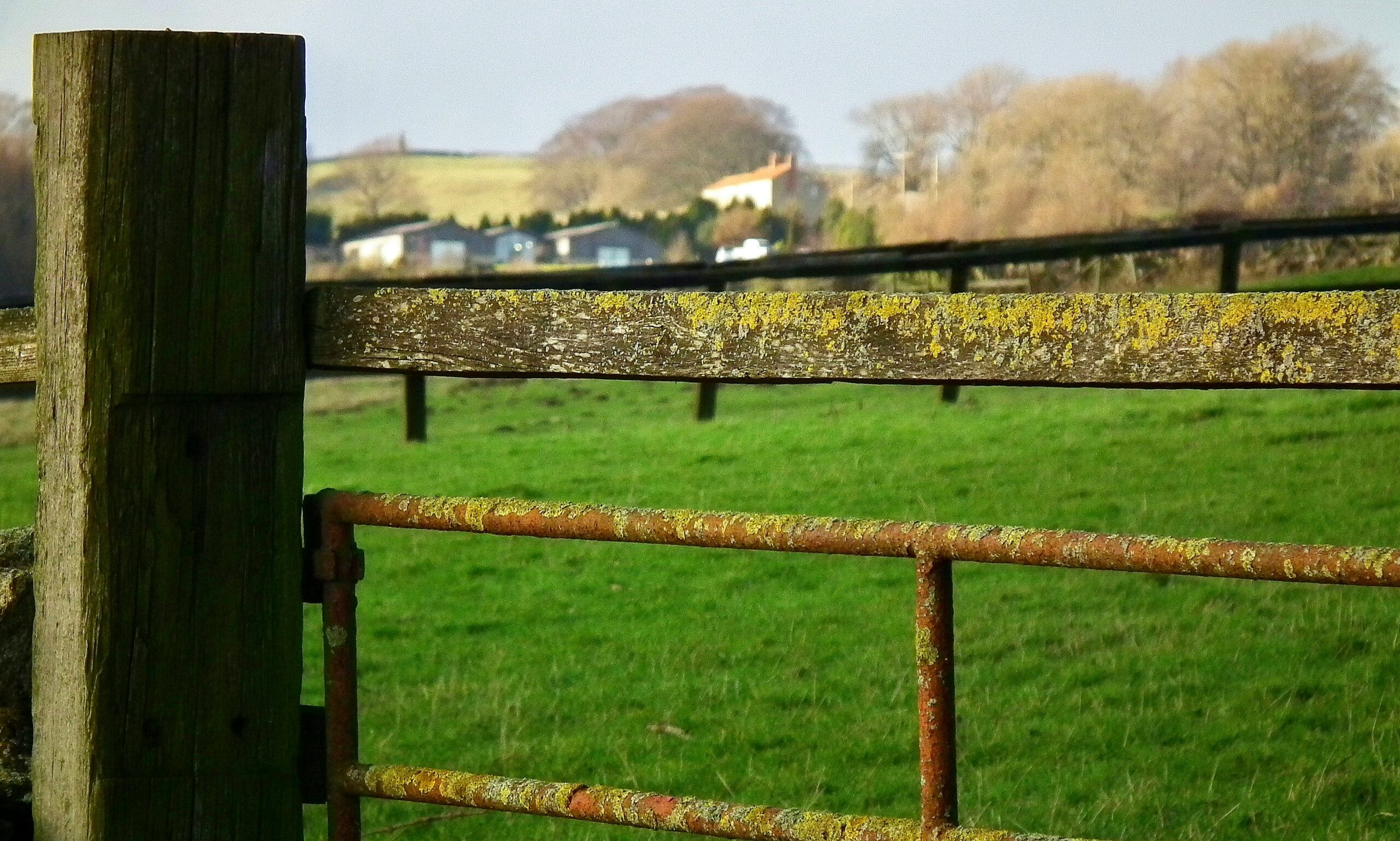 standard farm gate sizes Height Requirements by Livestock Type