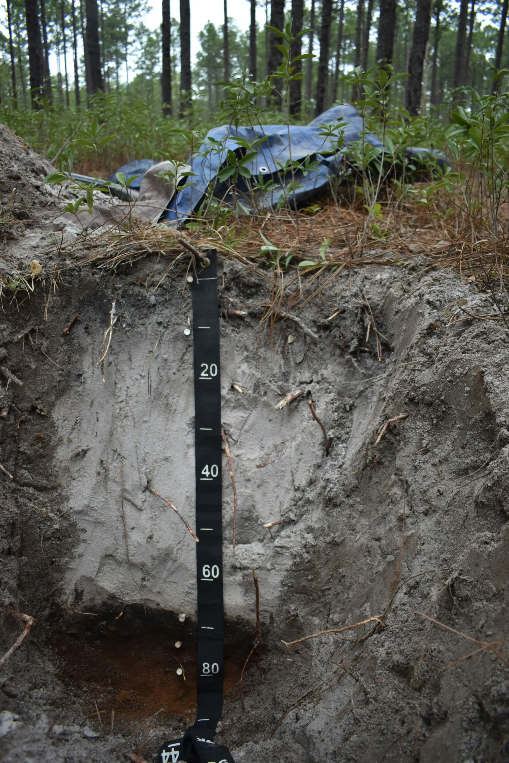 debris impact testing geotextile barrier