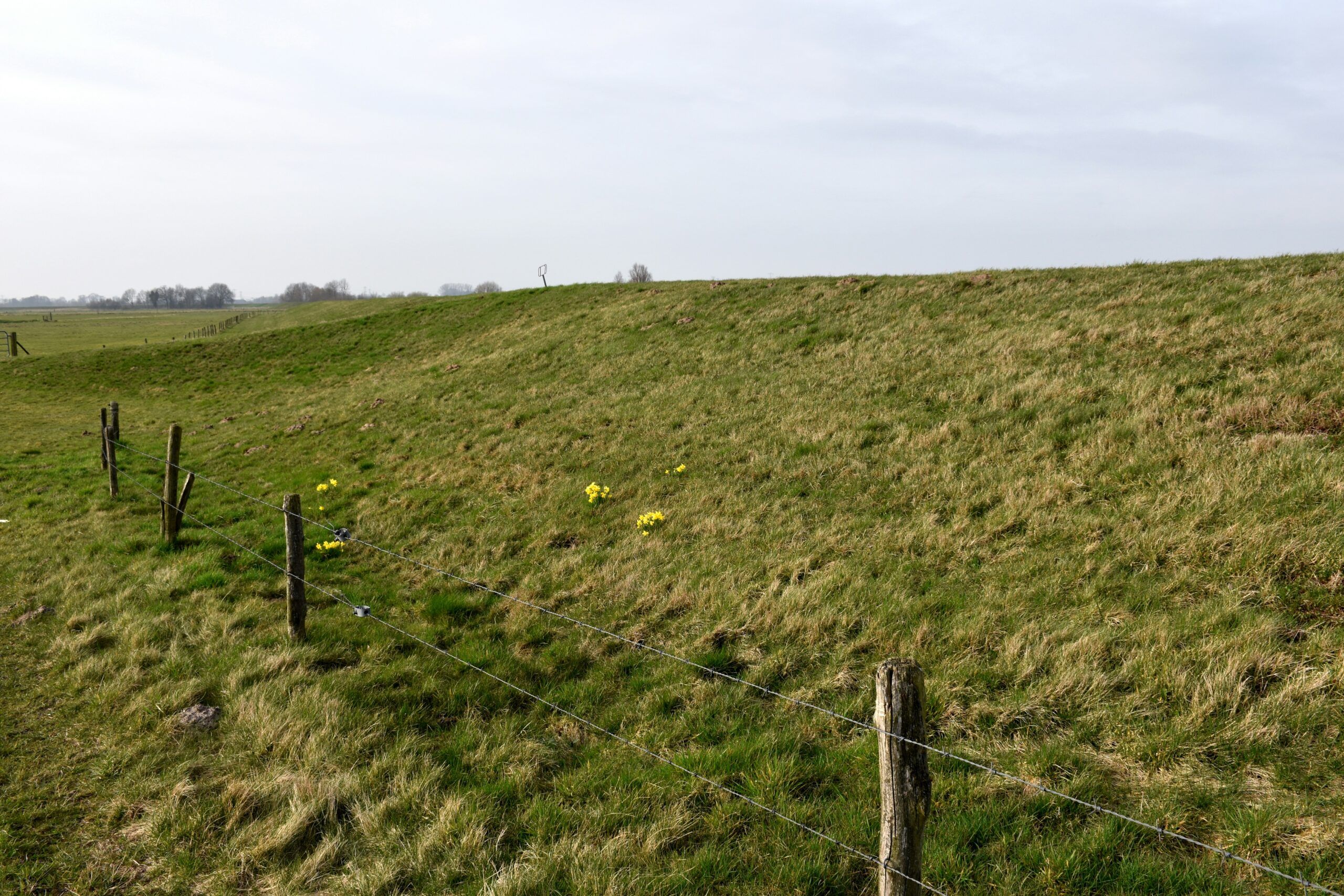 horse stable Common BRC Fence Installation Errors