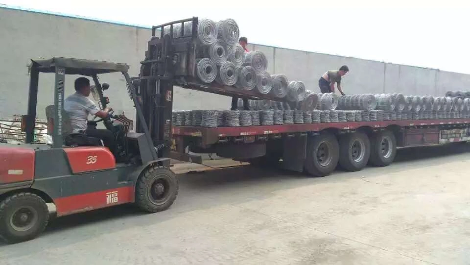 DB Fencing utilizes forklifts to load coils of wire mesh fencing onto flatbed trucks for export. This image demonstrates our factory-direct capacity to handle large-scale orders of temporary, livestock, and security fencing solutions for international clients.