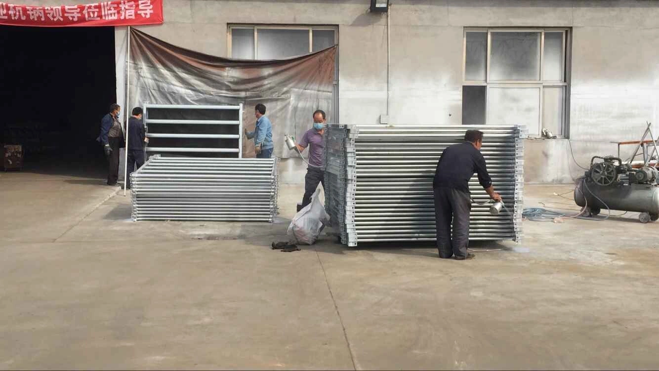 Workers assembling and inspecting galvanized cattle panels at DB Fencing's Anping production facility. This image demonstrates our manufacturing capabilities for livestock corral panels.