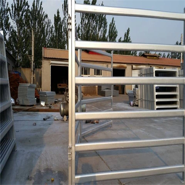 Manufacturing facility showcasing durable, hot-dipped galvanized cattle panels ready for export. As a leading wire mesh manufacturer, we supply certified livestock fencing systems compliant with Australian standards.