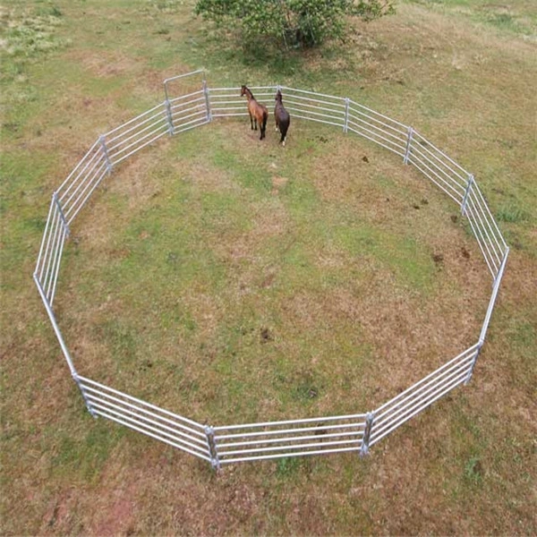 Aerial view of an octagonal livestock enclosure constructed using DB Fencing's heavy duty cattle panels. This secure corral solution demonstrates the durability and flexibility of our wire mesh fencing, designed for effective livestock management and containment.