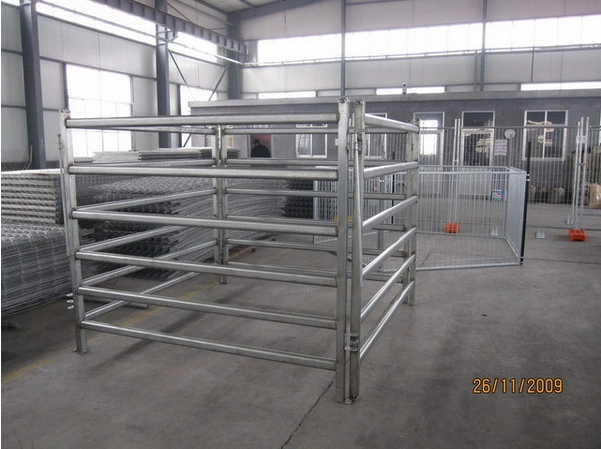 Anping Deban Metal Wire Mesh Products Co., Ltd (DB Fencing) manufactures high-quality hot-dipped galvanized cattle panels and corral fences. The image shows these durable steel panels in our factory, ready for global export with compliance to Australian standards.