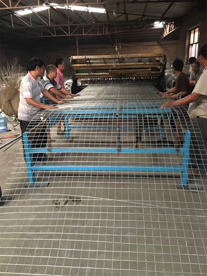 Anping Deban Metal Wire Mesh Products Co., Ltd. manufacturing high-strength welded wire mesh fencing panels for B2B distribution. The image shows our production line quality control process for durable, factory-direct fence solutions.